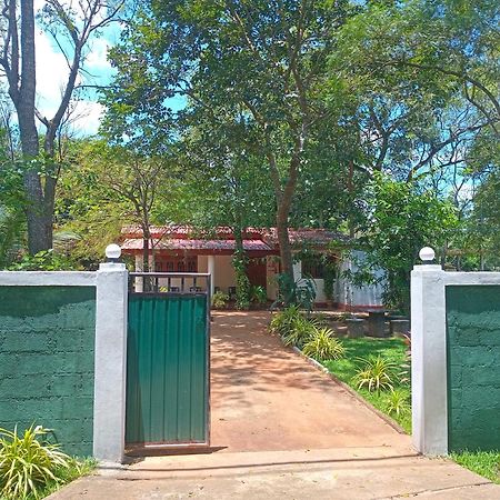 Senasuma Holiday Bungalow Anuradhapura Dış mekan fotoğraf